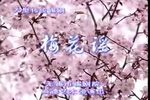 梅花谣 舞台版