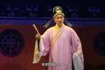双珠凤 DVD完整版