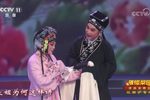珍珠塔·回塔 选段