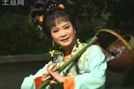 摘石榴