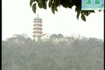 双玉蝉