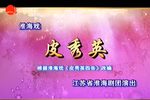 皮秀英
