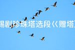 锡剧珍珠塔