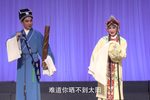 珍珠塔·后园会