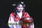 狸猫换太子
