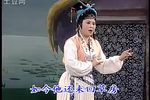 贤妻良母 全剧》