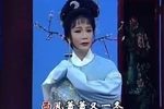 双玉蝉