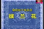 拔兰花