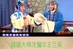玉蜻蜓