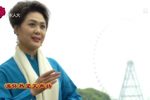 忆梅