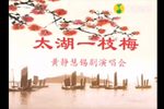 太湖一支梅