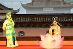 玉蜻蜓 现场字幕合成版下载