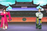 珍珠塔 选段庵会