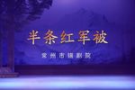 半条红军被