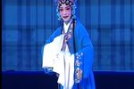 玉蜻蜓 画楼绣阁寂无声（2017）
