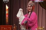 百岁挂帅