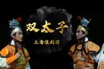 双太子 全剧 高清