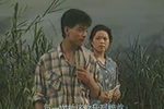 难咽的苦果 B