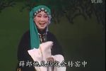 鸿雁传书 选段 只见鸿雁腾了空