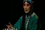 王宝钗与薛平贵 中集