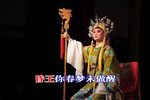 杨八姐游春 选段