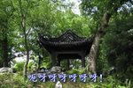 腊月雷 53：20
