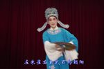 梁祝-山伯访友 扬剧金派名段展播下载