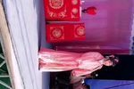 王老虎抢亲 （3）