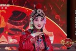 杨排风观灯
