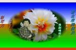 弄潮儿 第5场