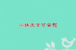 楼台会 选段