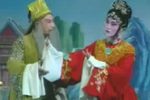 郑巧娇 选场下载