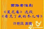 莲花庵-看见了我的冬儿呀
