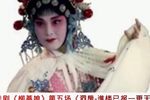 柳燕娘