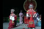 洞房惊奇下载