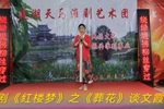 红楼梦之《黛玉葬花 20230418