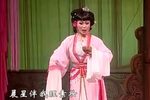 珊瑚情