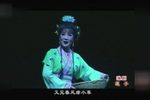 莲子