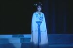 雁归何方