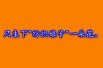 骂灯记 （五）骂灯 · 1991年录音