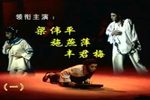 杨乃武与小白菜 全剧
