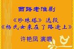 珍珠塔-杨氏女来在了路途上