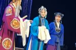 天要落雨娘要嫁·痛别离下载
