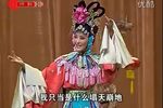 打金枝 选段（两版）下载