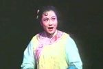 丁黄氏奇冤