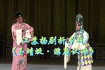 玉蜻蜓·游庵认母