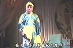 岳母剌字 1990年录像