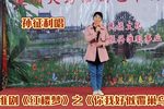 红楼梦之《你我好似覆巢鸟 20230416
