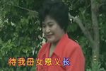 屠夫状元