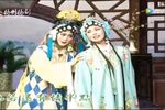 玉蜻蜓